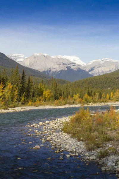 Curva Rio Snaring Parque Nacional Jasper Província Alberta Canadá Parque — Fotografia de Stock