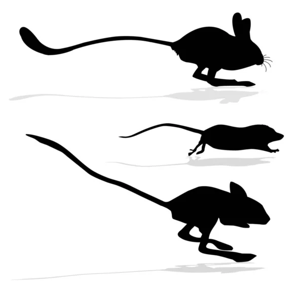 Silhuetter Springråttor Och Råttor Vit Bakgrund — Stockfoto