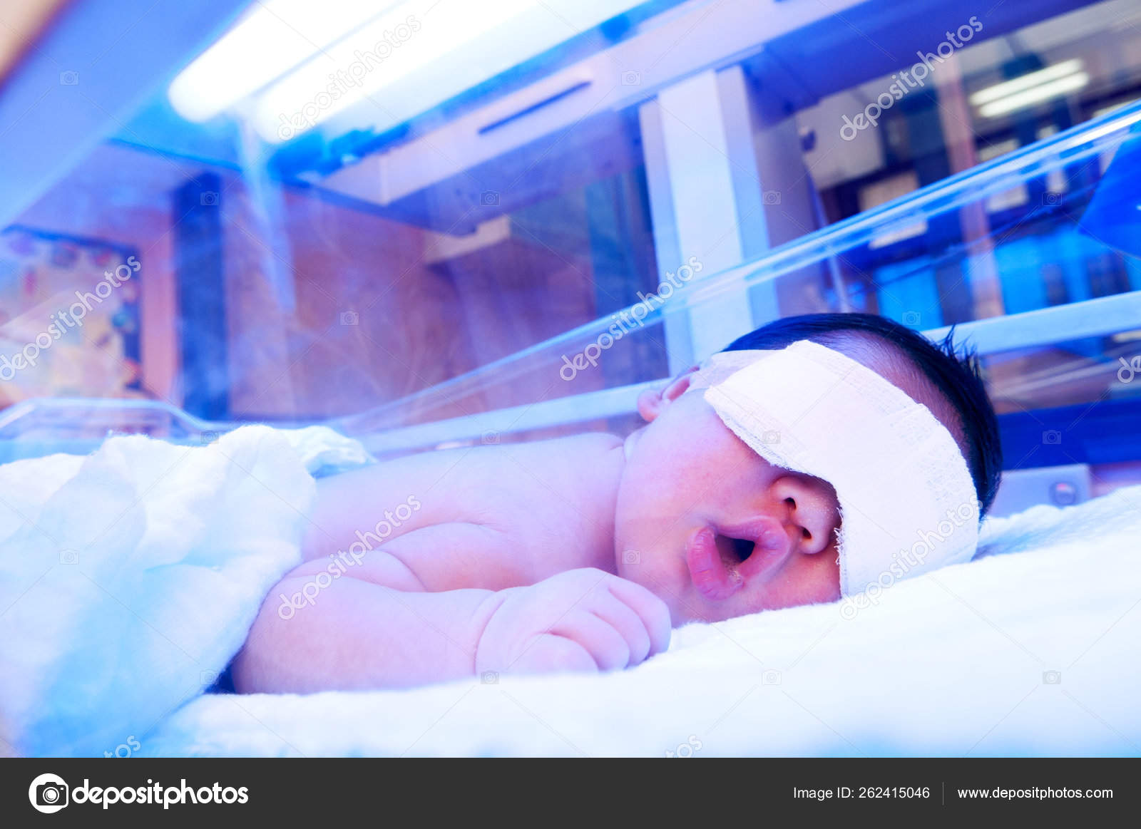 Baby Lamp Incubator Stock Photo by ©YAYImages 262415046