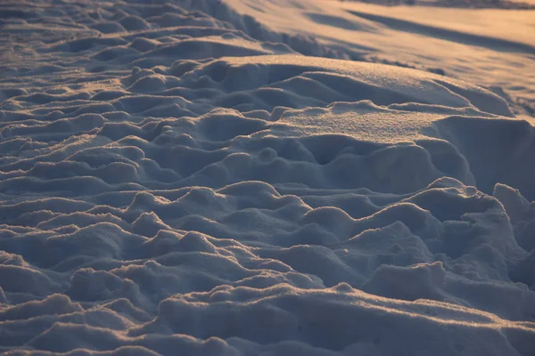 Свежий Снежный Покров Холодный Зимний День — стоковое фото