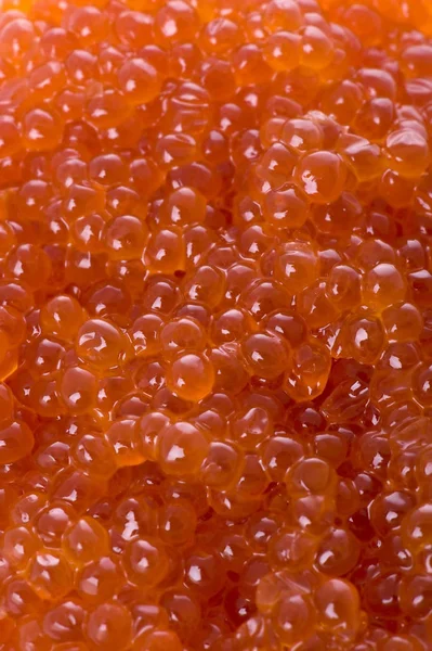 Object White Red Caviar Close — Stock Photo, Image