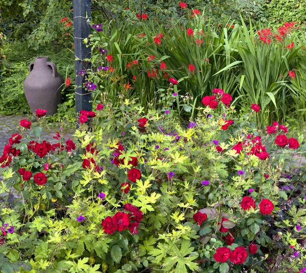 Jardín Con Flores Colores Plena Floración — Foto de Stock