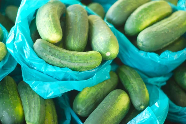 Fresh Cucumbers Sale Market Green Baskets — Stock Photo, Image