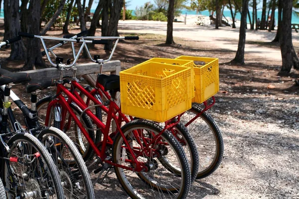 Dos Bicicletas Con Cestas Amarillas Estacionadas Con Otras Bicicletas — Foto de Stock