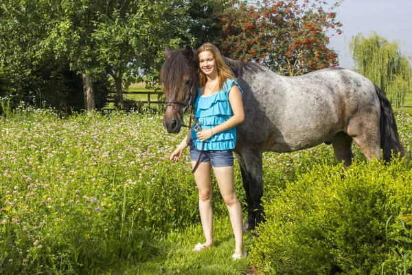 Mladá Dívka Její Kůň — Stock fotografie