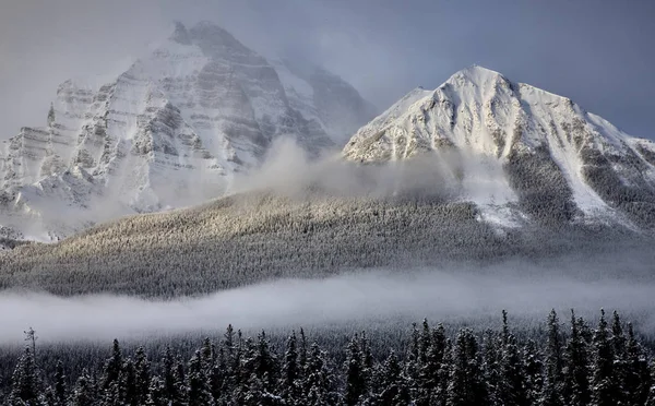 Скелясті Гори Взимку Альберта Канада Банф Парк — стокове фото