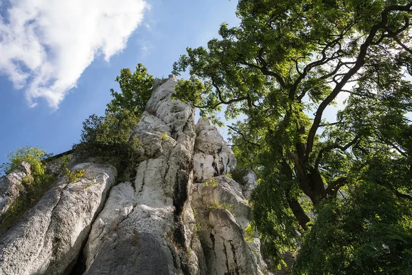 Limestone Rocks Tyniec Poland — Stock Photo, Image