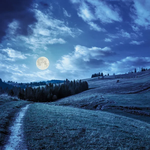 Sosny Pobliżu Ścieżki Wzgórzu Górach Nocy Pełnym Świetle Księżyca — Zdjęcie stockowe
