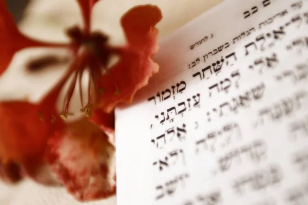 Psalmy Języku Hebrajskim Tło Archiwalne — Zdjęcie stockowe