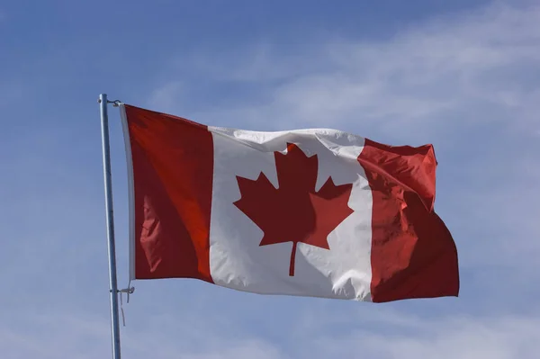 Kanadensisk Flagga Blåser Vinden Mot Blå Himmel — Stockfoto