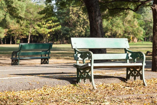 Bänk Som Ligger Vid Gångväg Leaf Drop Har Läckt Golvet — Stockfoto