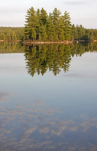 Reflet Limite Des Arbres Une Île Lac Burnt Island Dans — Photo