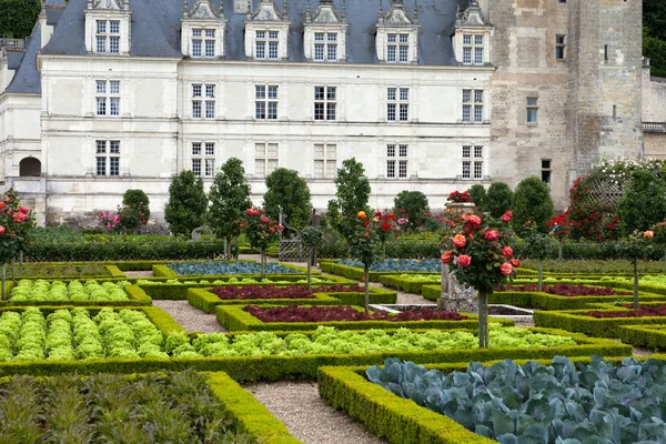 Keuken Tuin Chateau Villandry Loire Vallei Frankrijk — Stockfoto