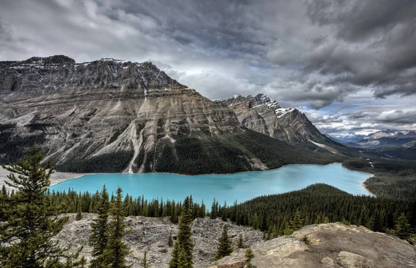 Peyto Озеро Альберта Канада Смарагдово Зелений Колір — стокове фото