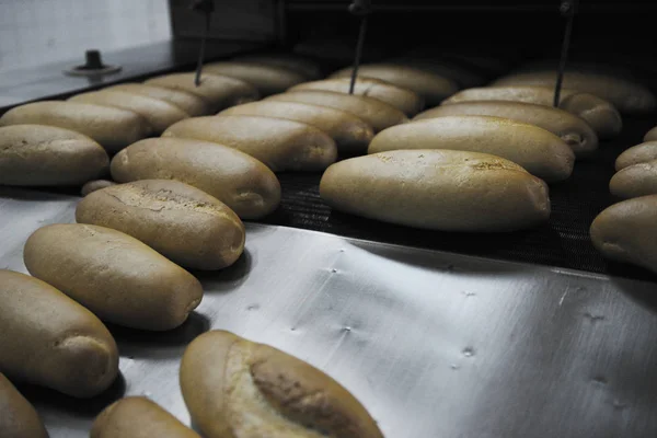 Panadería Producción Fábrica Alimentos Con Productos Frescos —  Fotos de Stock