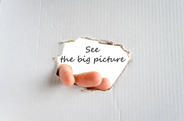 See Big Picture Text Concept Isolated White Background — Stock Photo, Image