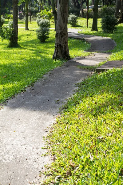 Stone Pathway Exuberante Green Park — Fotografia de Stock