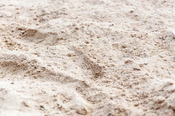 Краплі Дощу Гарячому Піску Крупним Планом Майорка Балеарські Острови Іспанія — стокове фото