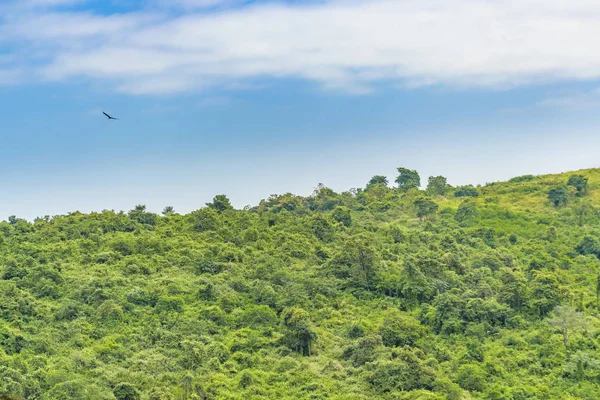 緑豊かな丘と青い空 エクアドルのグアヤキル郊外 熱帯の風景シーン — ストック写真