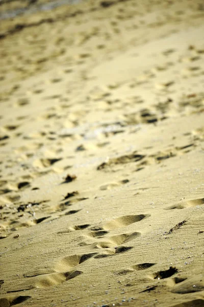 Пісок Пляжі Літній Сонячний День — стокове фото
