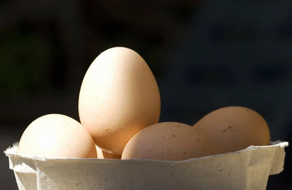 Ovos Sua Caixa Ovos Fundo Preto — Fotografia de Stock