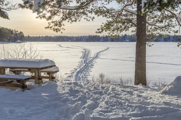 Bench in front of Frozen Lake with Ski Tracks in Umea, Sweden.