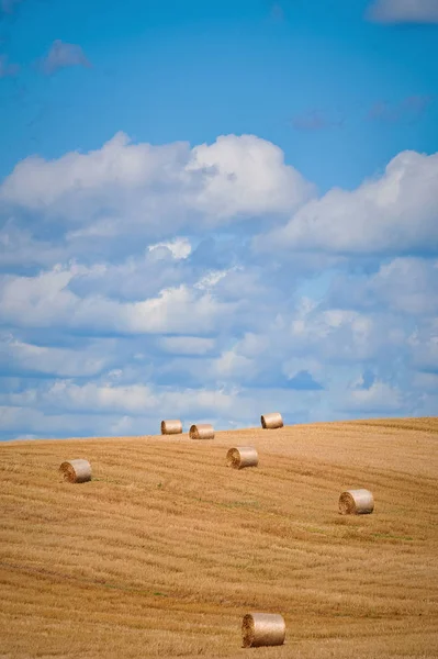 Sacco Haystacks Sul Campo Lituania — Foto Stock