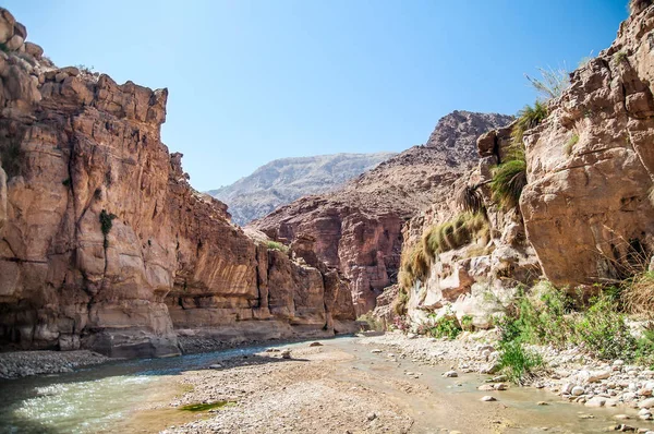 Landskapet Flödande Vatten Creek Wadi Hasa Jordan — Stockfoto