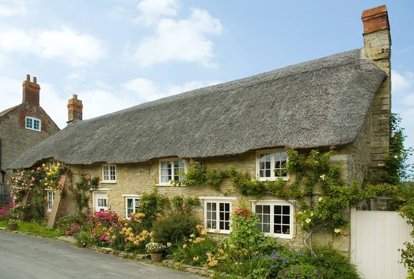 Row Pretty English Traditional Thatched Country Cottages Small Village Abbotsbury — Stock Photo, Image