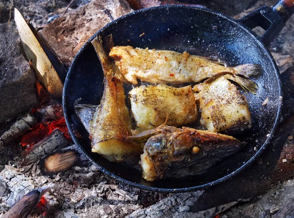 Fried River Fish Cast Iron Skillet Hot Ashes Fire Outdoors — Stock Photo, Image