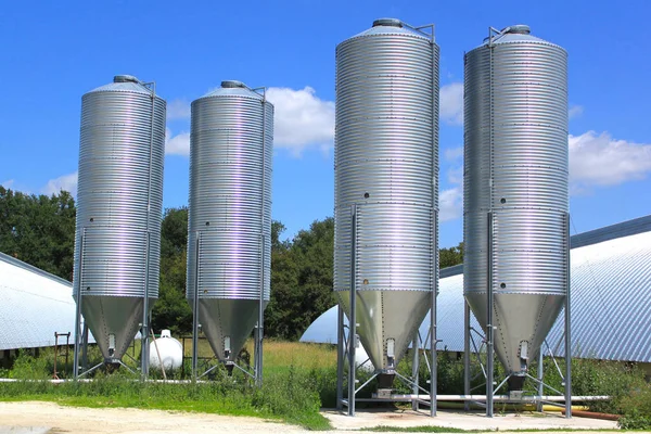 Elevadores Cobertizos Granos Para Cría Pollos — Foto de Stock