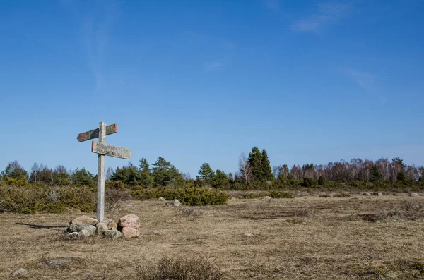 Büyük Alvar Ovası Baltık Denizinde Ada Oland Üzerinde Eşsiz Bir — Stok fotoğraf