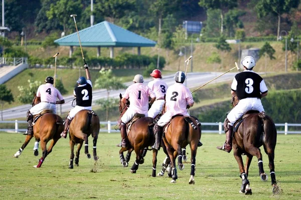 Image Passionnés Polo Action — Photo