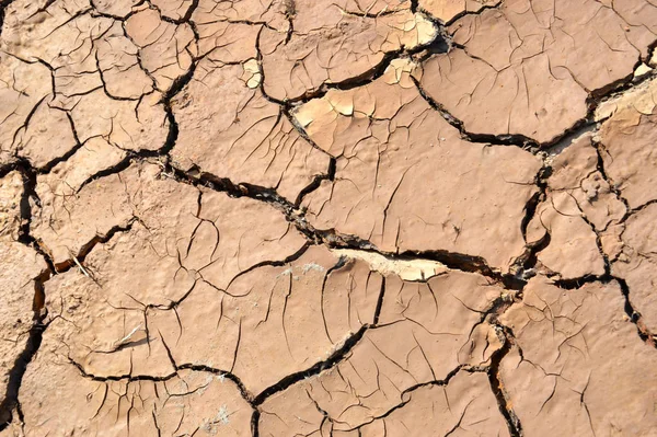 Dry Soil Cracks Background — Stock Photo, Image