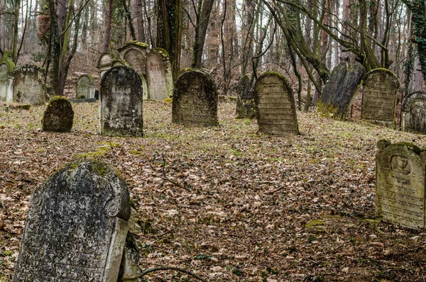 old gravestones in a cemetery in the forest