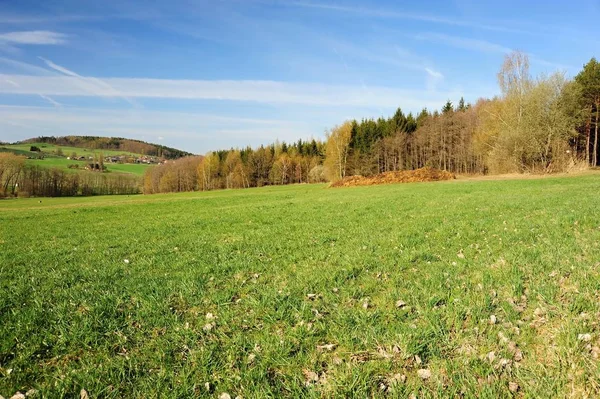 Hermoso Paisaje Primavera Con Bosque Prado Cielo Azul — Foto de Stock