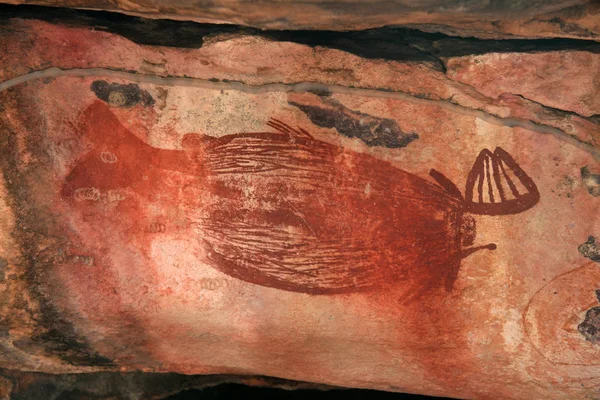 Arte Rupestre Aborigen Parque Nacional Kakadu Australia — Foto de Stock