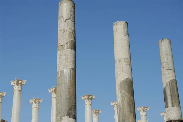 Roma Forumunda Antik Yeni Sütunların Bir Karışımı — Stok fotoğraf