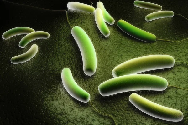 Ilustración Digital Bacteria Coli Fondo Color — Foto de Stock