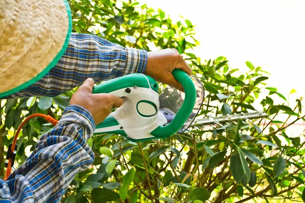 Giardiniere Che Taglia Cespuglio — Foto Stock