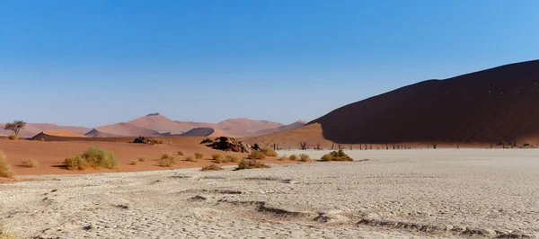 Amplo Panorama Bela Paisagem Nascer Sol Vlei Morto Escondido Namíbia — Fotografia de Stock