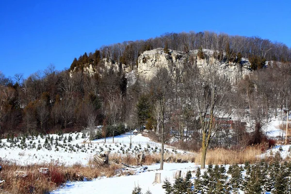 Picture Niagara Escarpment Covered Snow Pine Trees Farm Front Escarpment — Stock Photo, Image