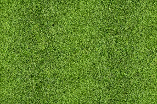 View of green field of grass