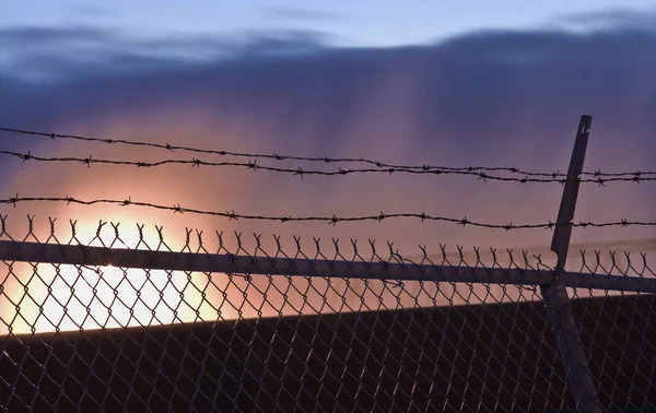 Een Barb Wire Fence Met Zonsondergang Geel Oranje Paars Blauw — Stockfoto