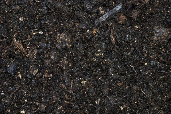 Organic Moist Soil Full Frame — Stock Photo, Image