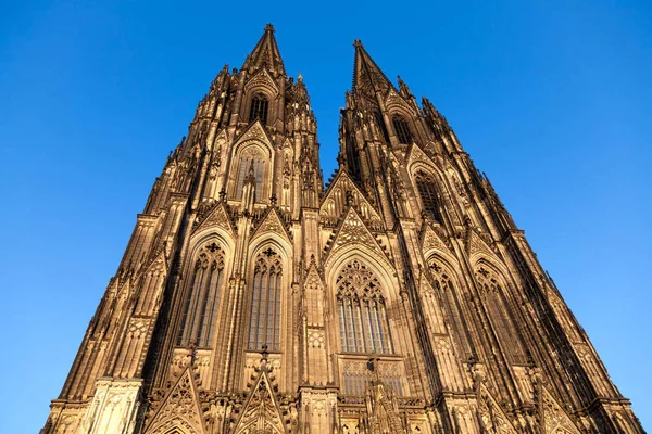Gotická Katedrála Kolíně Nad Rýnem Německo — Stock fotografie