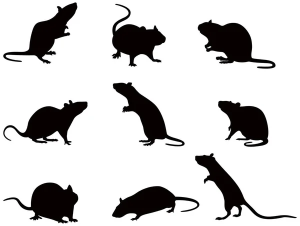 Vektor Illustration Silhuetter Hembiträde Råtta — Stockfoto
