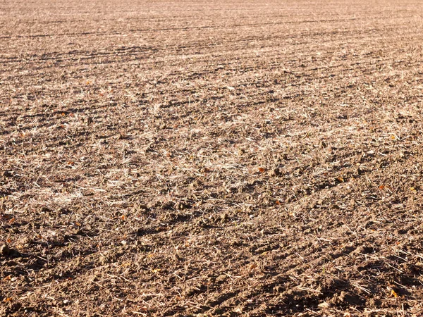 Marrón Arado Seco Otoño Granja Campo Espacio Pistas Vacío Espacio — Foto de Stock