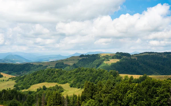 Summer Landscape Ukrainian Carpathian Mountains — Stock Photo, Image