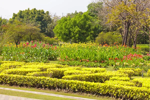 Hermoso Jardín Verde Parque — Foto de Stock